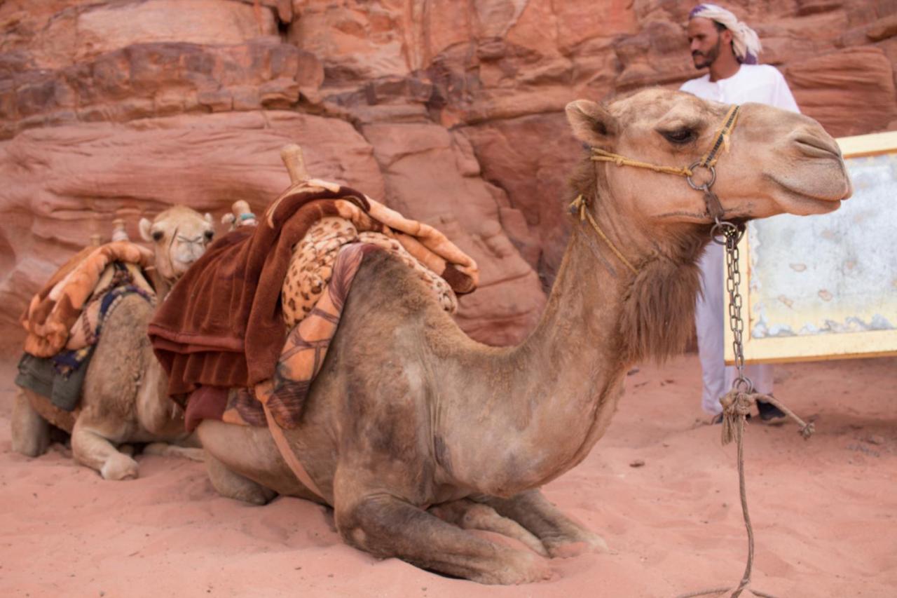 Wadi Rum Desert Home エクステリア 写真
