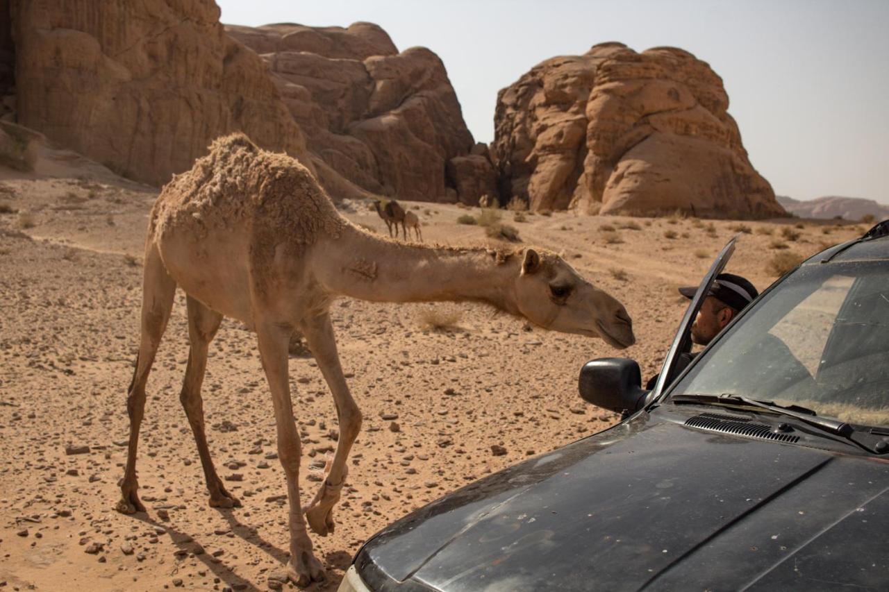 Wadi Rum Desert Home エクステリア 写真